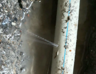 鸡西市测漏水哪家好