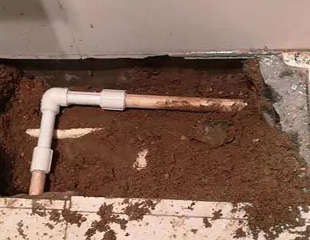 鸡西市测漏水哪家好