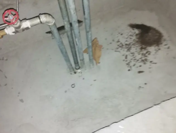 鸡西市卫生间测漏水价格明细