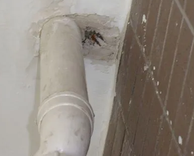 鸡西市漏水检测哪家好